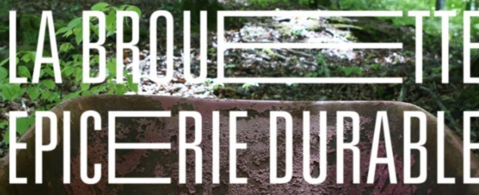 cc807338-b849-4903-993d-1163cab9677d